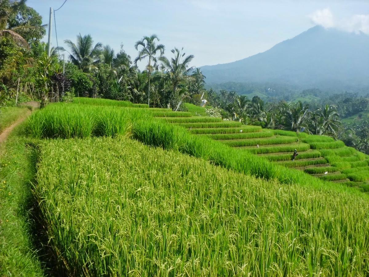 Zen Rooms Basic Kuta Kubu Anyar Buitenkant foto
