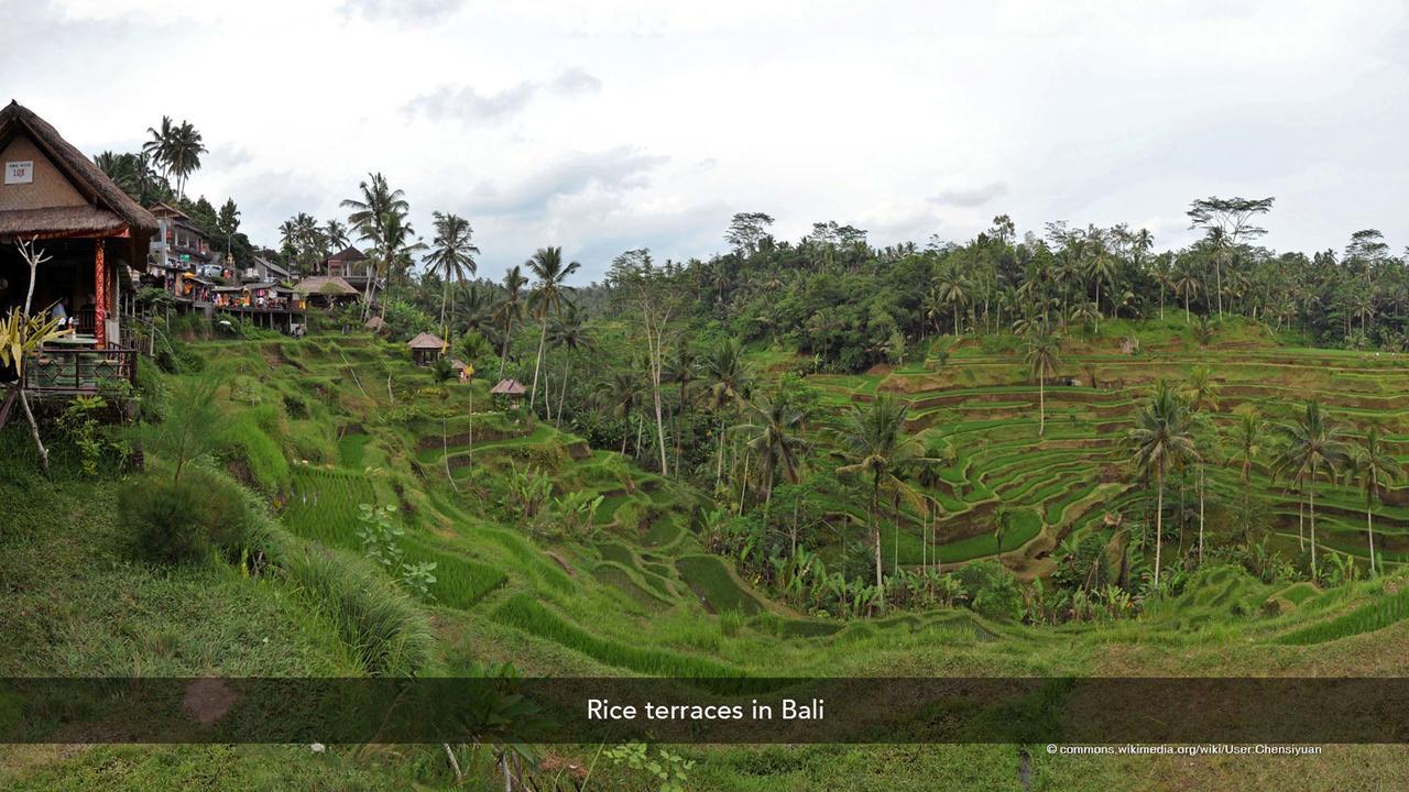 Zen Rooms Basic Kuta Kubu Anyar Buitenkant foto